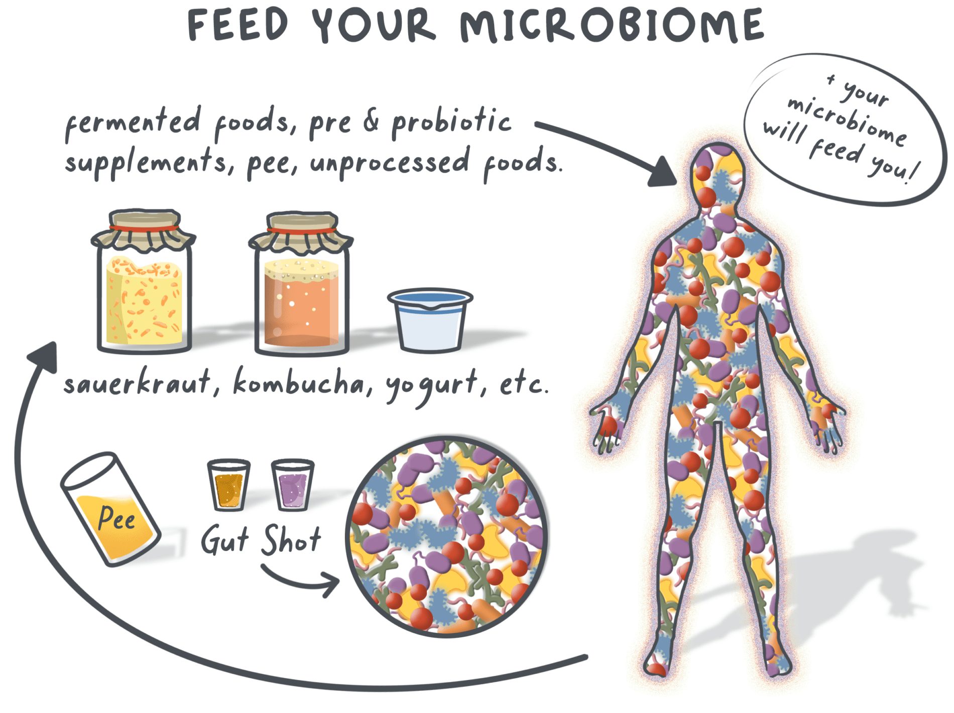 33-feed-your-microbiome