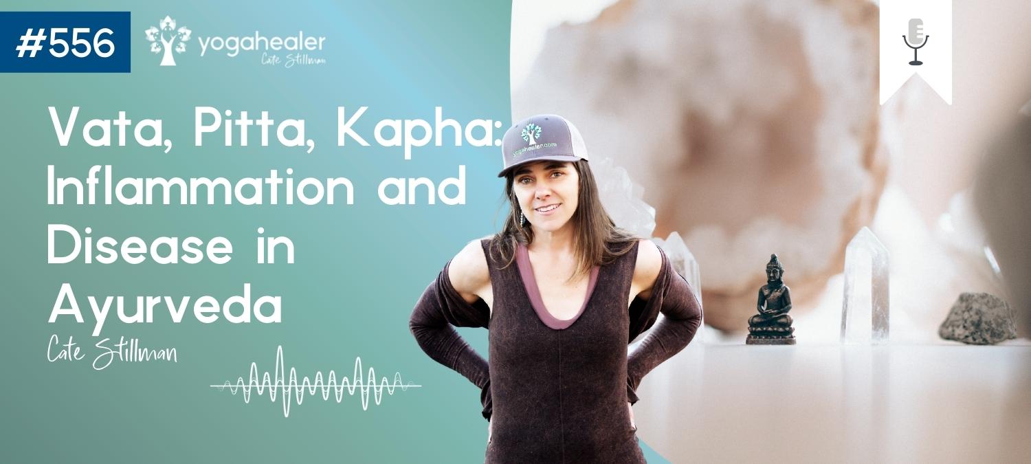 vata pitta kapha inflammation and disease in ayurveda wide