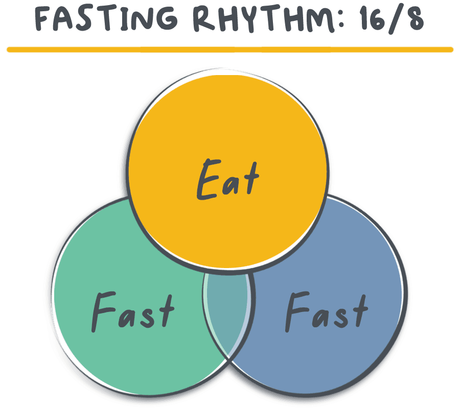 Diagram showing the principle of rhythmic eating — aligning meals with your body's circadian biology