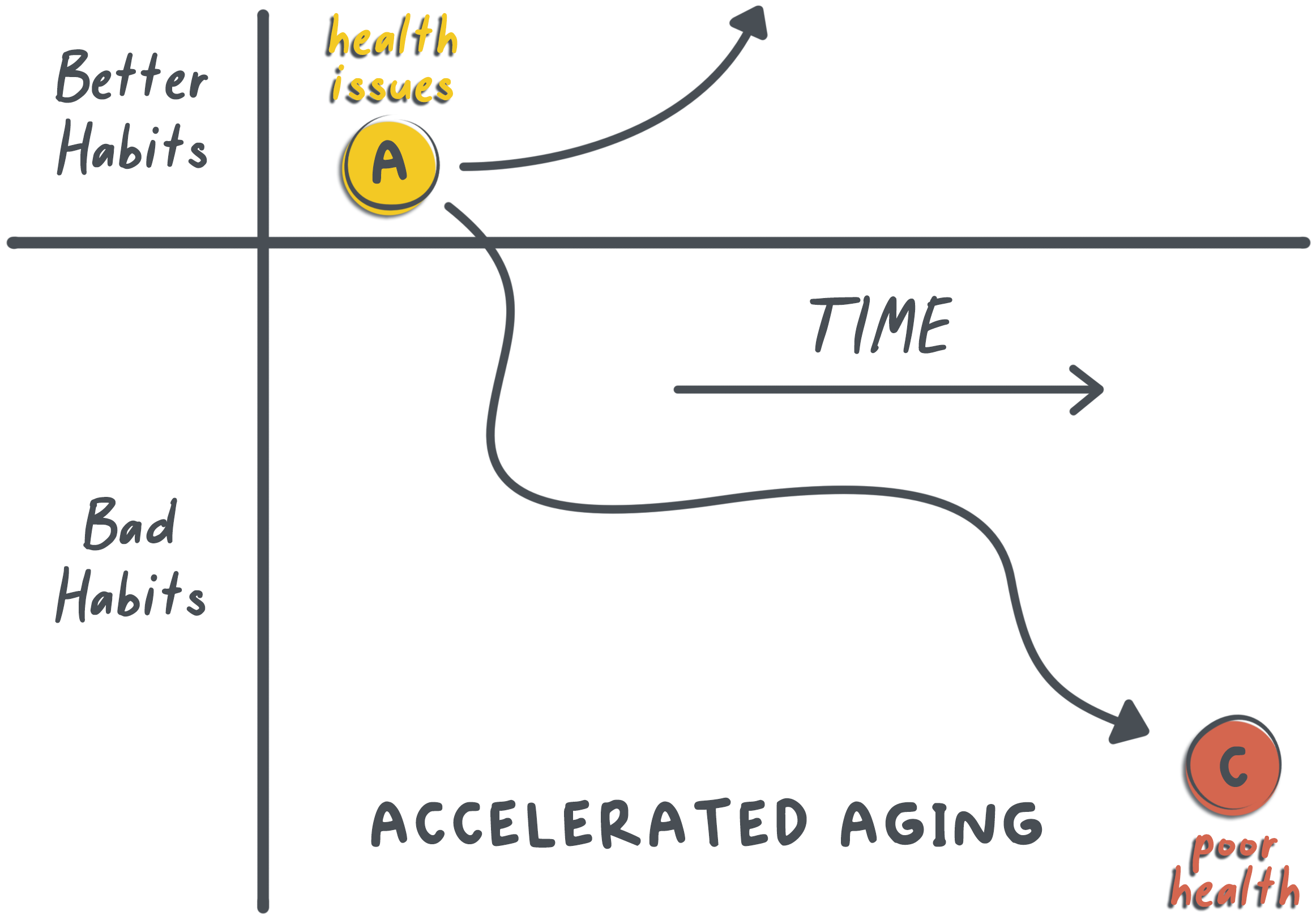 Accelerated aging: better habits over time lead to health, bad habits over time lead to poor health
