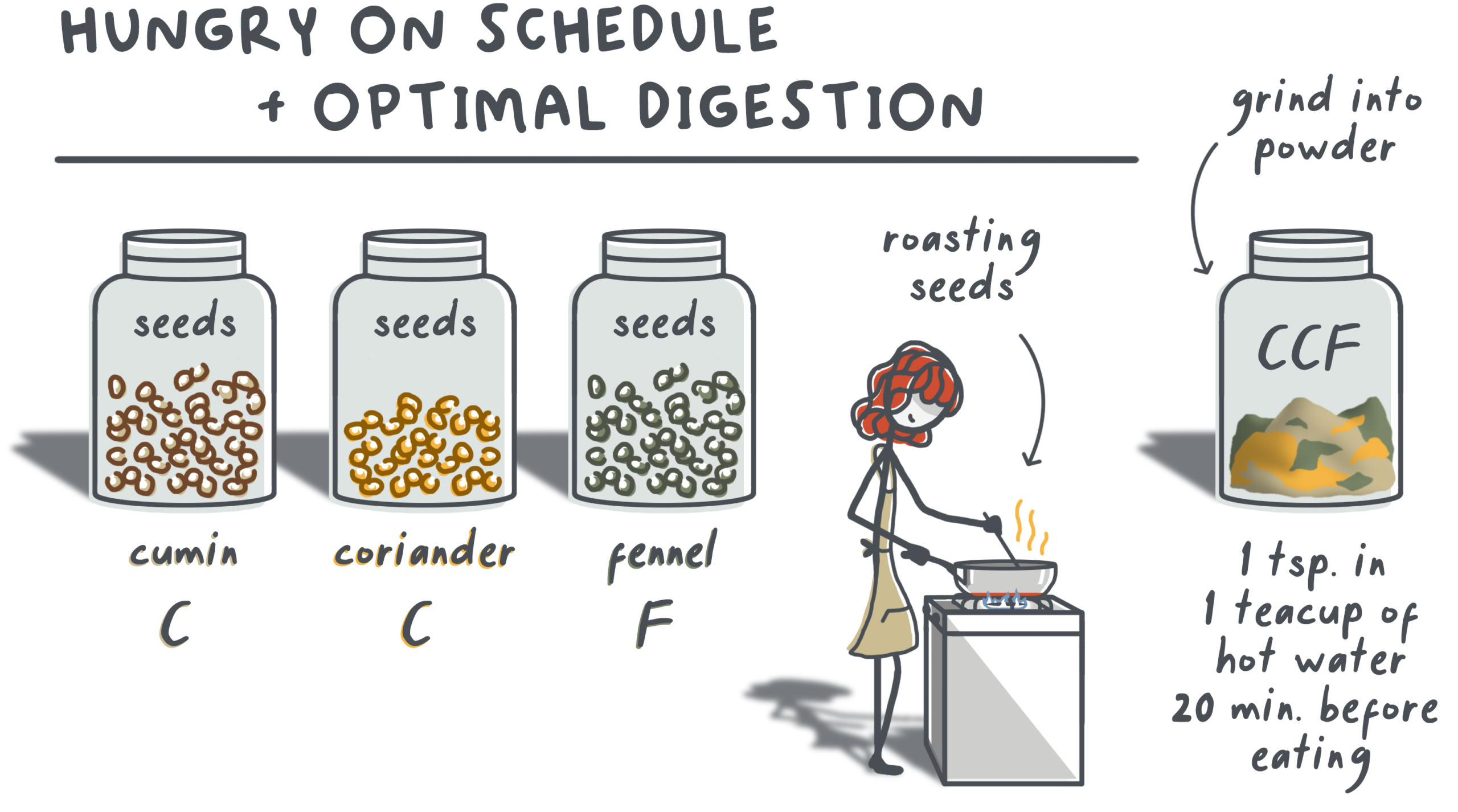 Hungry on schedule and optimal digestion: roast equal parts cumin, coriander, and fennel seeds, grind into CCF powder, and add 1 tsp to 1 teacup of hot water 20 minutes before eating