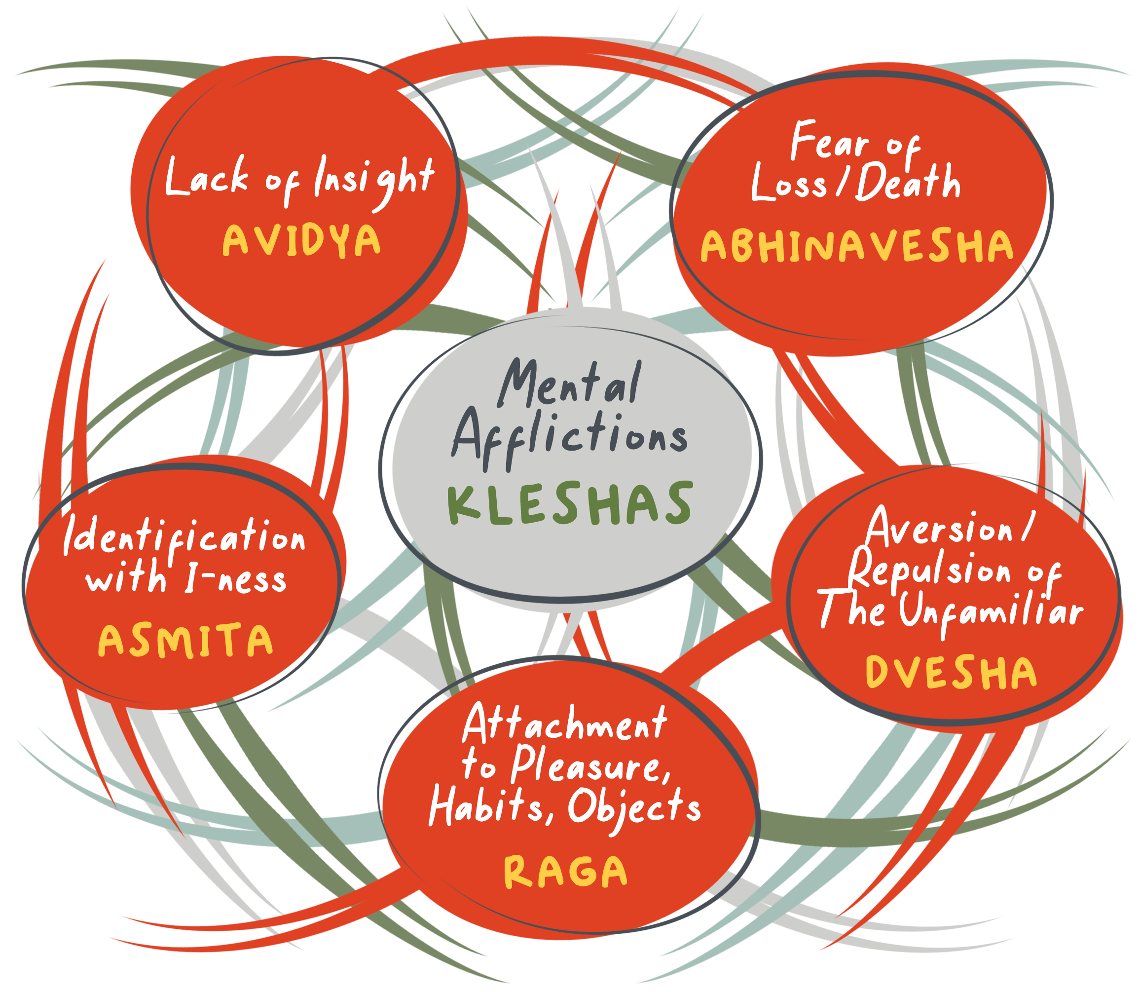 The five kleshas (mental afflictions): Avidya (lack of insight), Asmita (identification with I-ness), Raga (attachment to pleasure, habits, objects), Dvesha (aversion or repulsion of the unfamiliar), and Abhinavesha (fear of loss or death)