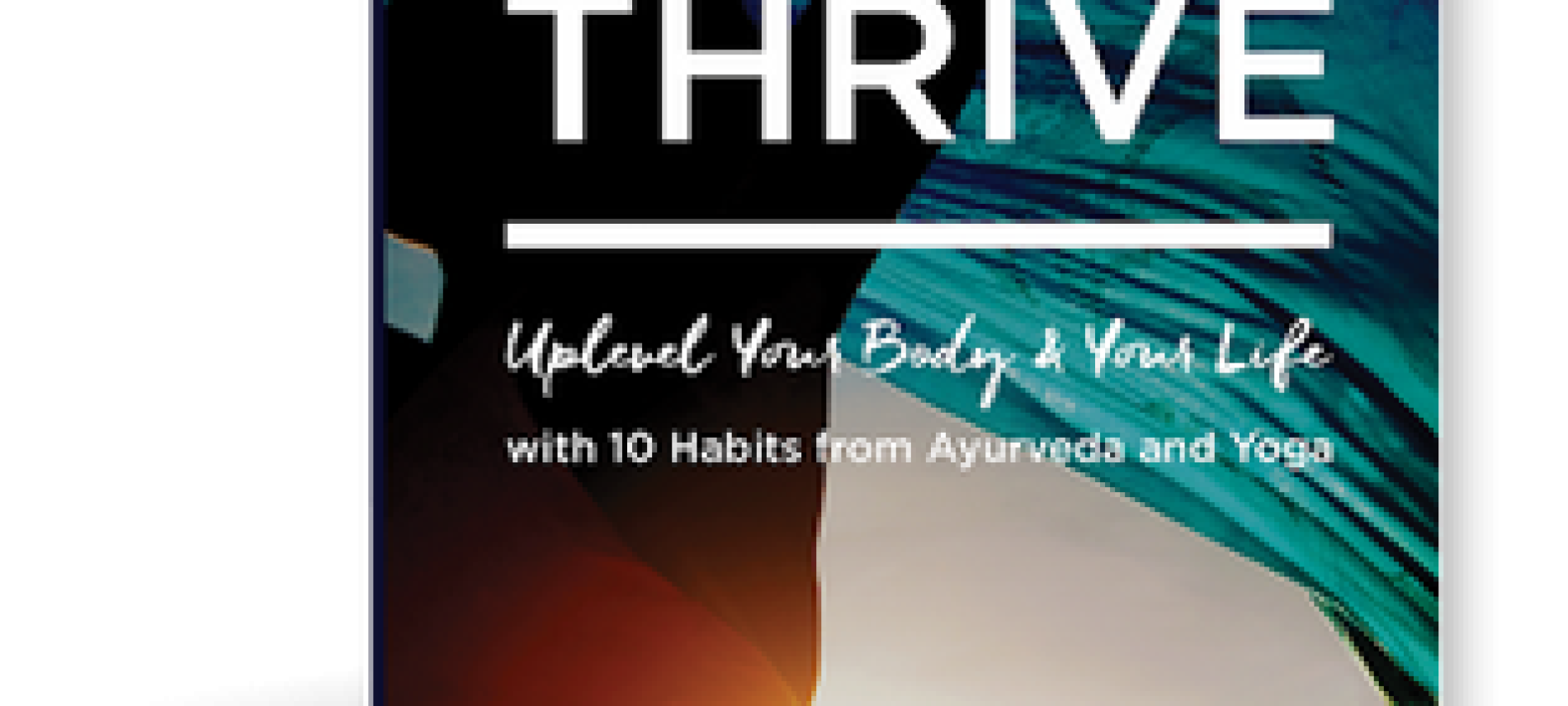 be6087224948cd87788431606cca89e6