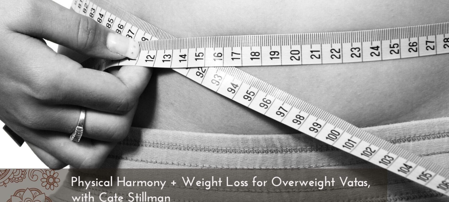 physical-harmony-weight-loss-for-overweight-vatas-with-cate-stillman