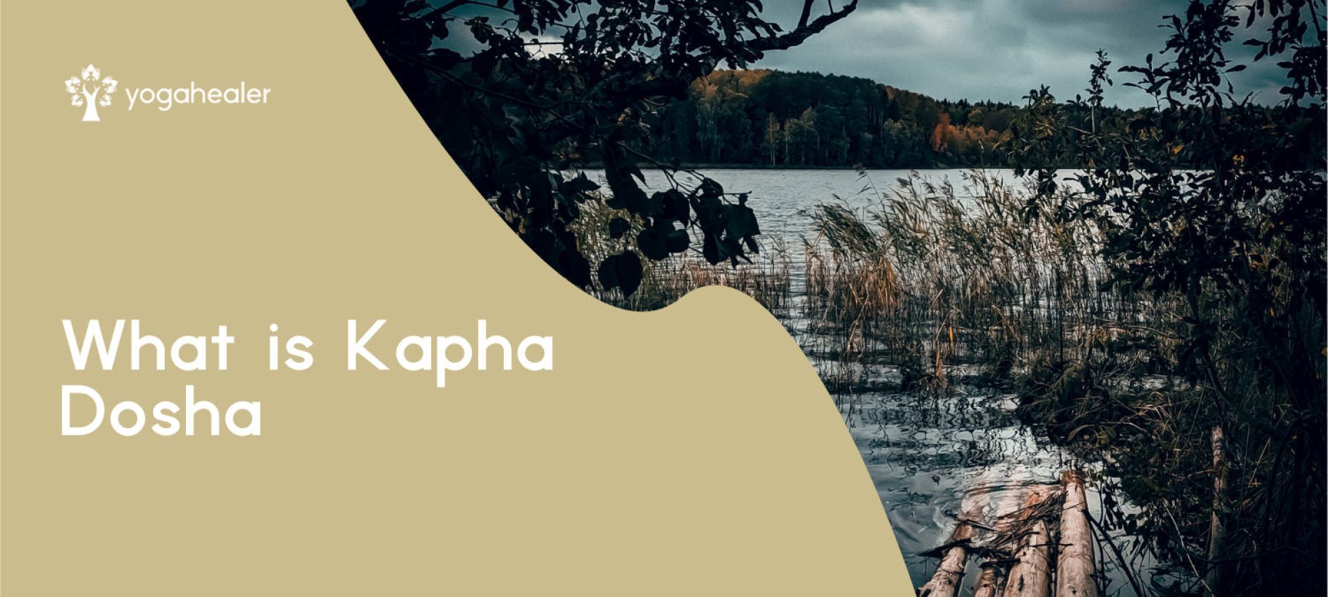 what-is-kapha-dosha-2-py74duqo6ufu82kip5a11jyx3guun0dze13qcna99i